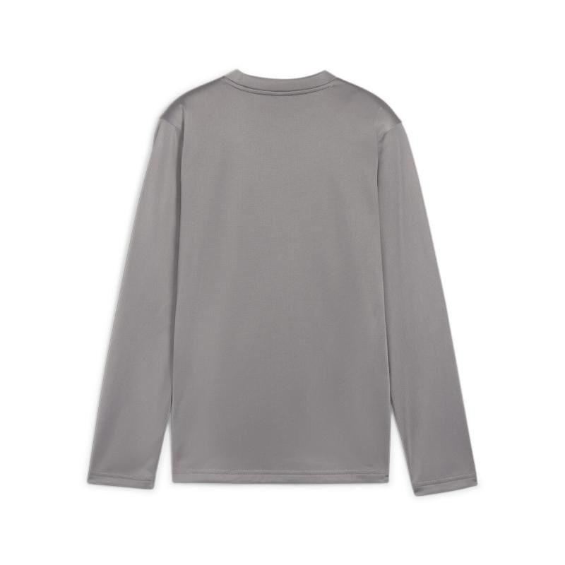 6407 22980 3351943823dd trainingssweater 00 li sponsor li 00 re sp2 li cast iron puma white shadow gray.jpg