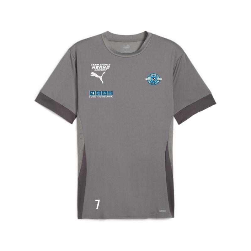 6412 22727 5541d1519f26 trainingsshirt jersey 00 li sponsor li l re sp2 li cast iron puma white shadow gray.jpg