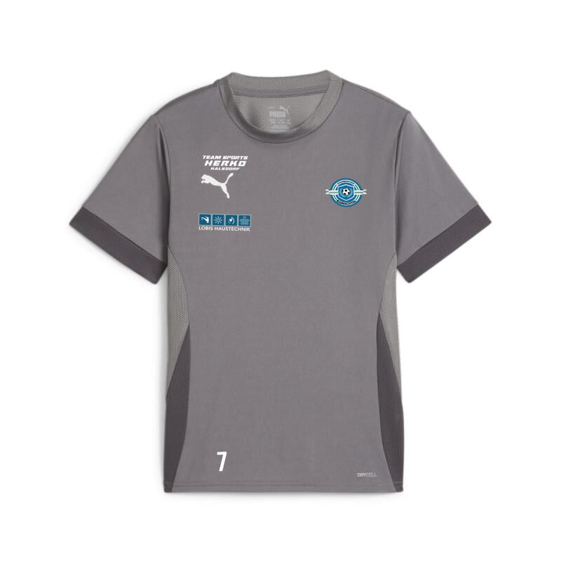 6413 22767 1028b15481c5 trainingsshirt jersey 00 li sponsor li l re sp2 li cast iron puma white shadow gray.jpg