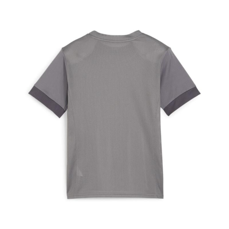 6413 22768 48566dc9a3be trainingsshirt jersey 00 li sponsor li l re sp2 li cast iron puma white shadow gray.jpg